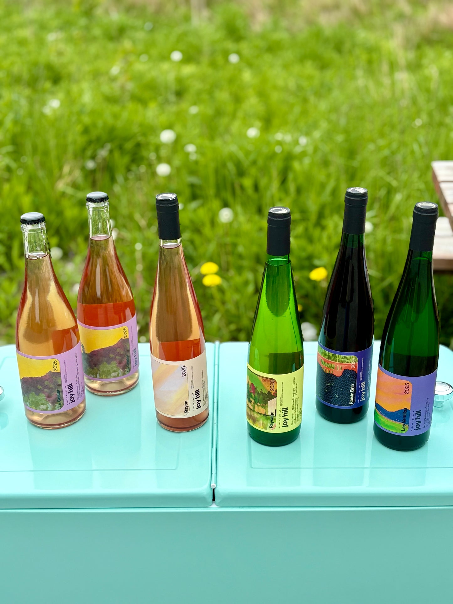 La petite caisse Joy Hill (6 bouteilles)