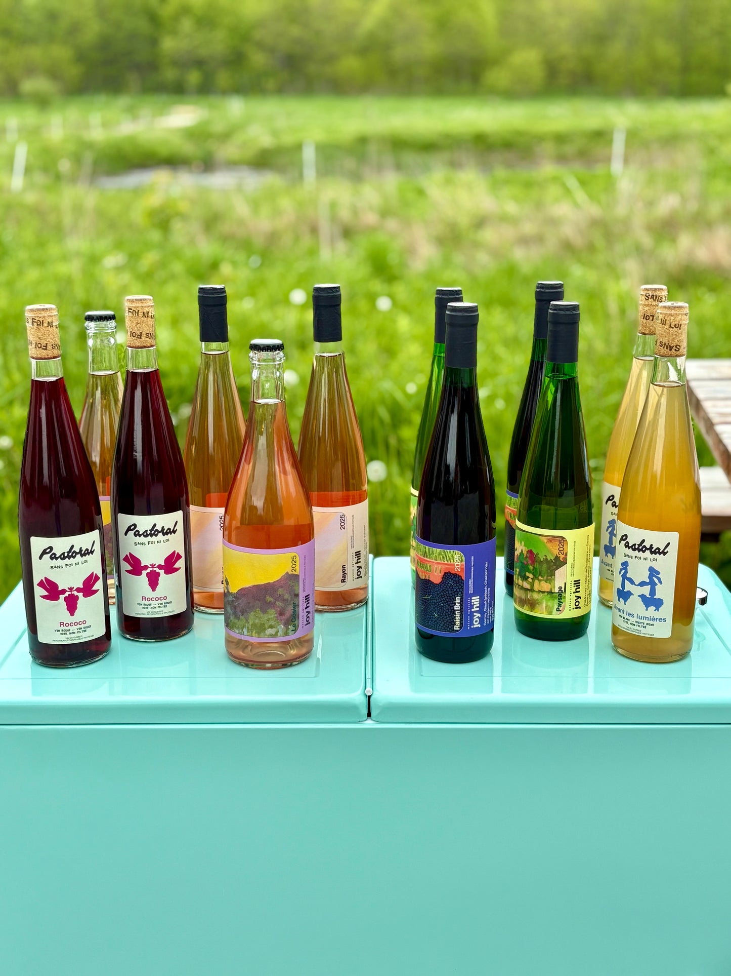 La mixte de juin (12 bouteilles)