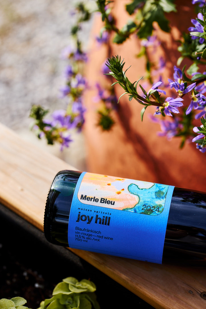 Caisse Joy Hill Merle bleu 2024