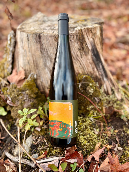 Caisse Joy Hill Forêt noire 2024