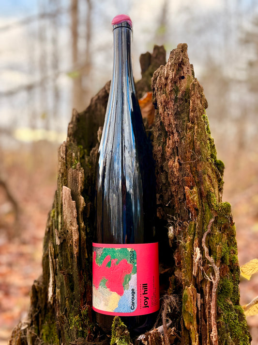 Caisse de 2 magnum Joy Hill Carouge 2024