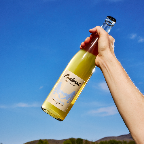 Caisse Pastoral Paso Doble 2024